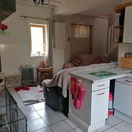 Le Petit Verger, 1 Impasse De La Fenouillere 61330 Céaucé Buitenkant foto