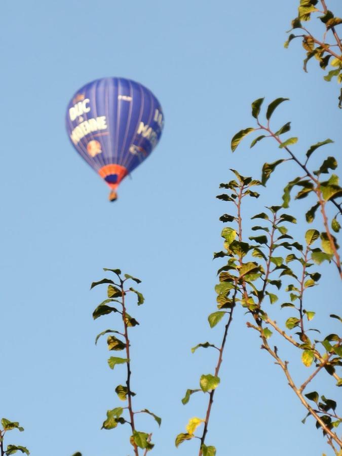 Le Petit Verger, 1 Impasse De La Fenouillere 61330 Céaucé Buitenkant foto